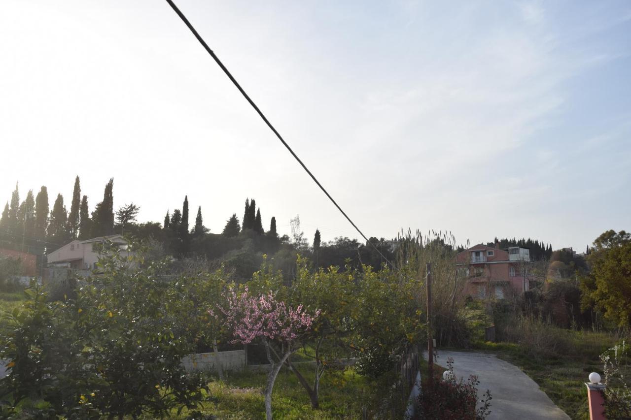 Violet Apartment Κανάλι Εξωτερικό φωτογραφία