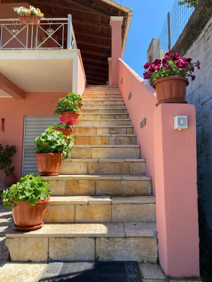 Violet Apartment Κανάλι Εξωτερικό φωτογραφία